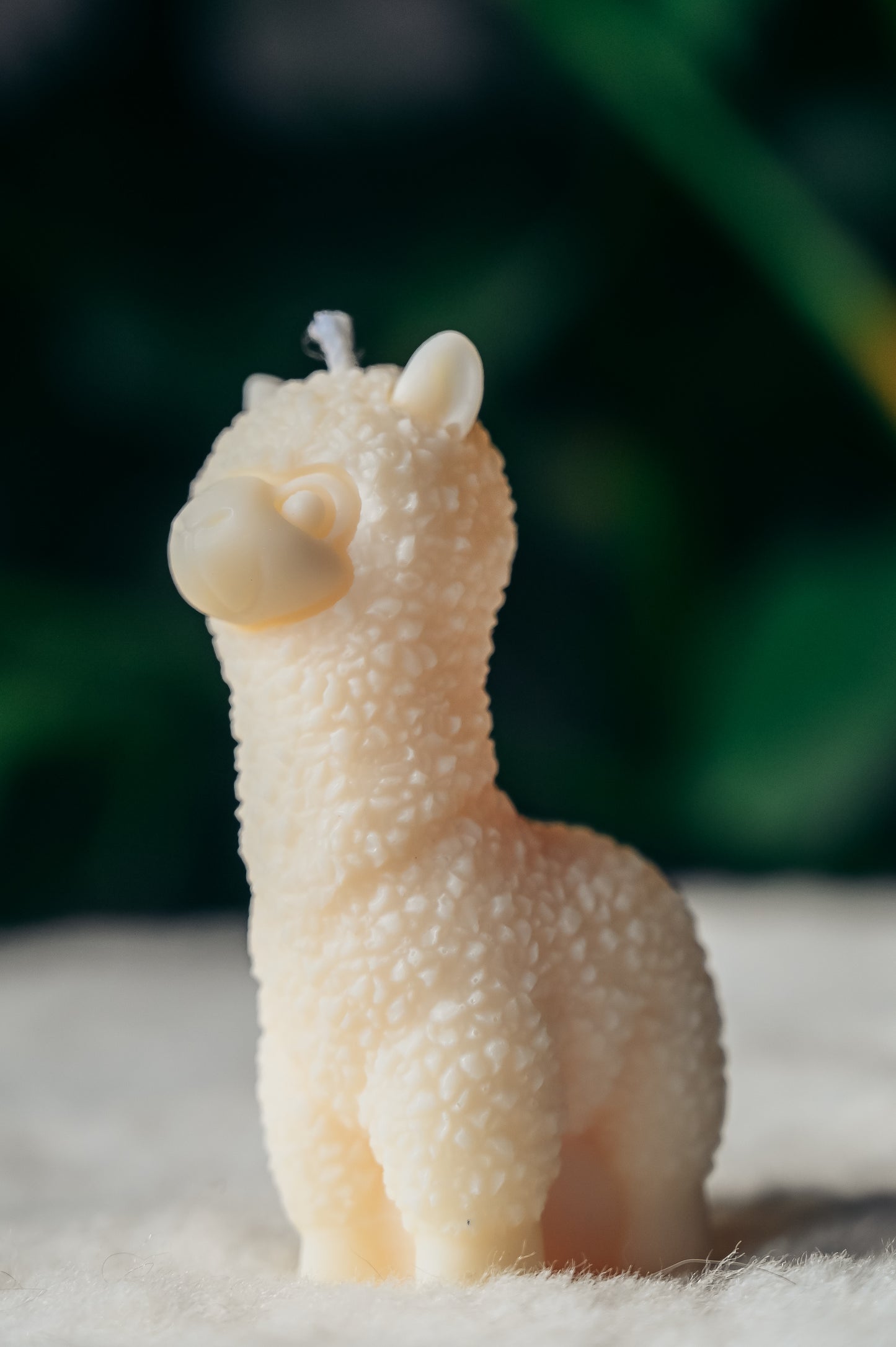 Kaars Alpaca